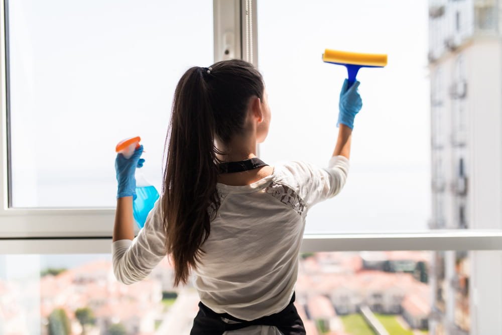 Fensterreinigung