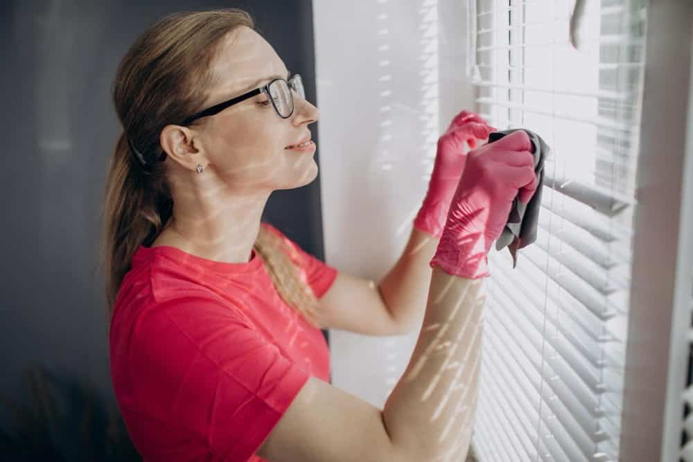 Fenster- und Storenreinigung